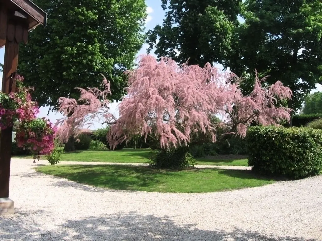 Gîte de France Entre terre et vignoble - gite 3 épis