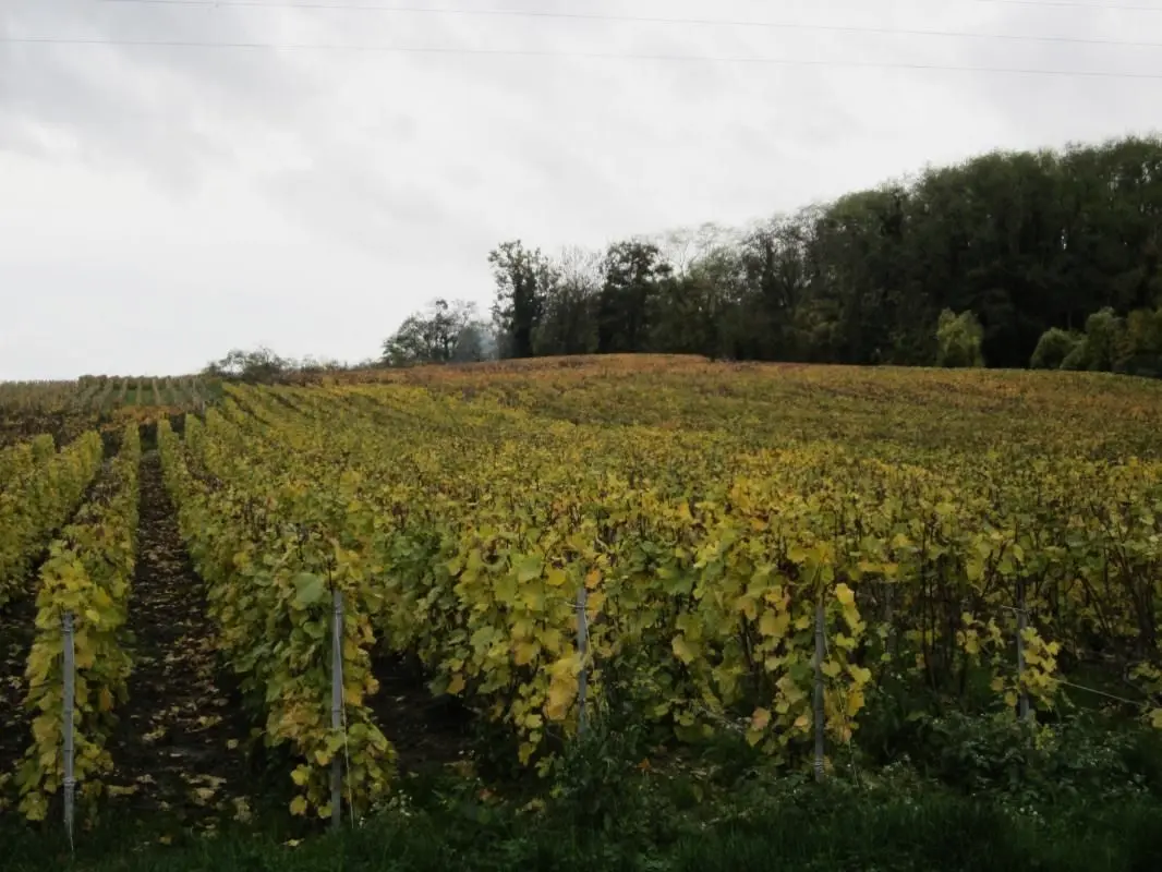 Gîte de France Entre terre et vignoble - gite 3 épis