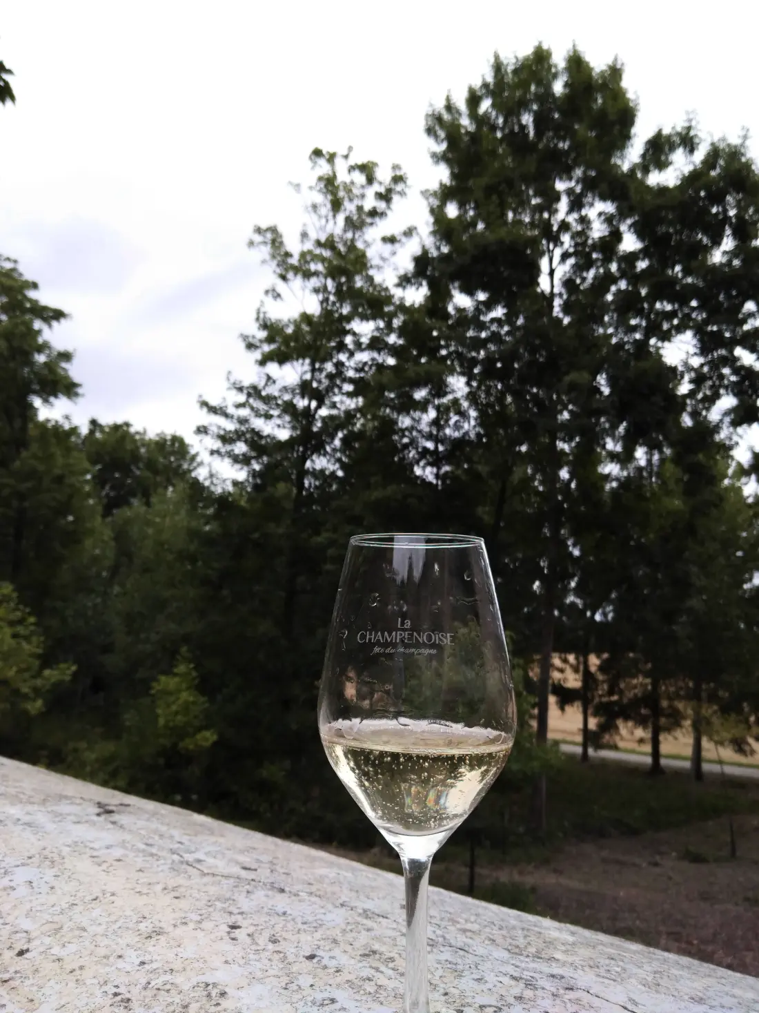 Gîte de France Entre terre et vignoble - gite 3 épis