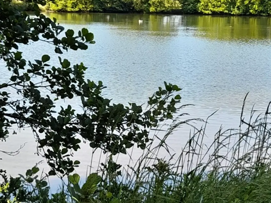 Location de Vacances Villers-sur-Mer 49
