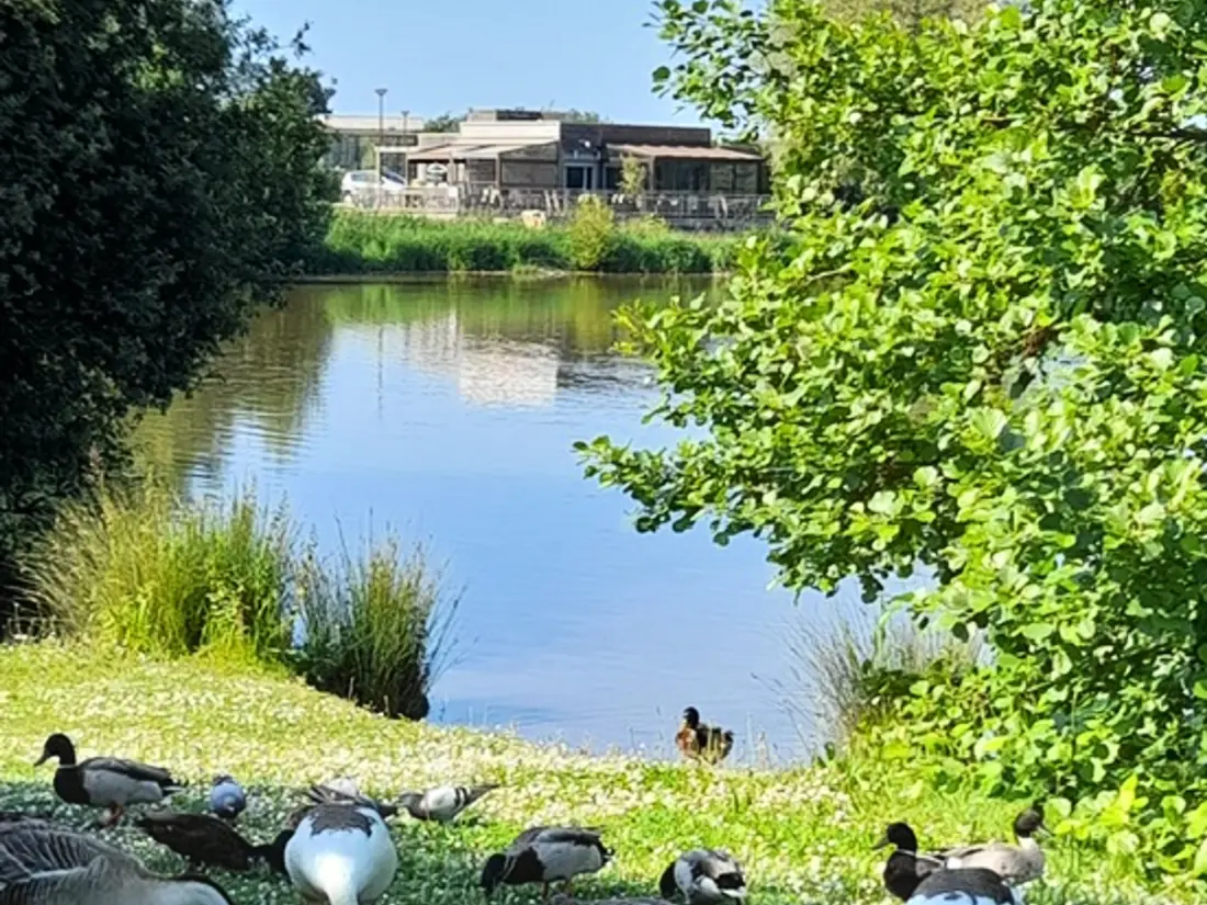 Location de Vacances Villers-sur-Mer 49