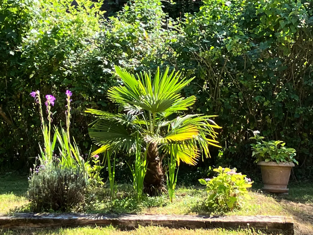 Maison de Vacances Villers-sur-Mer 76