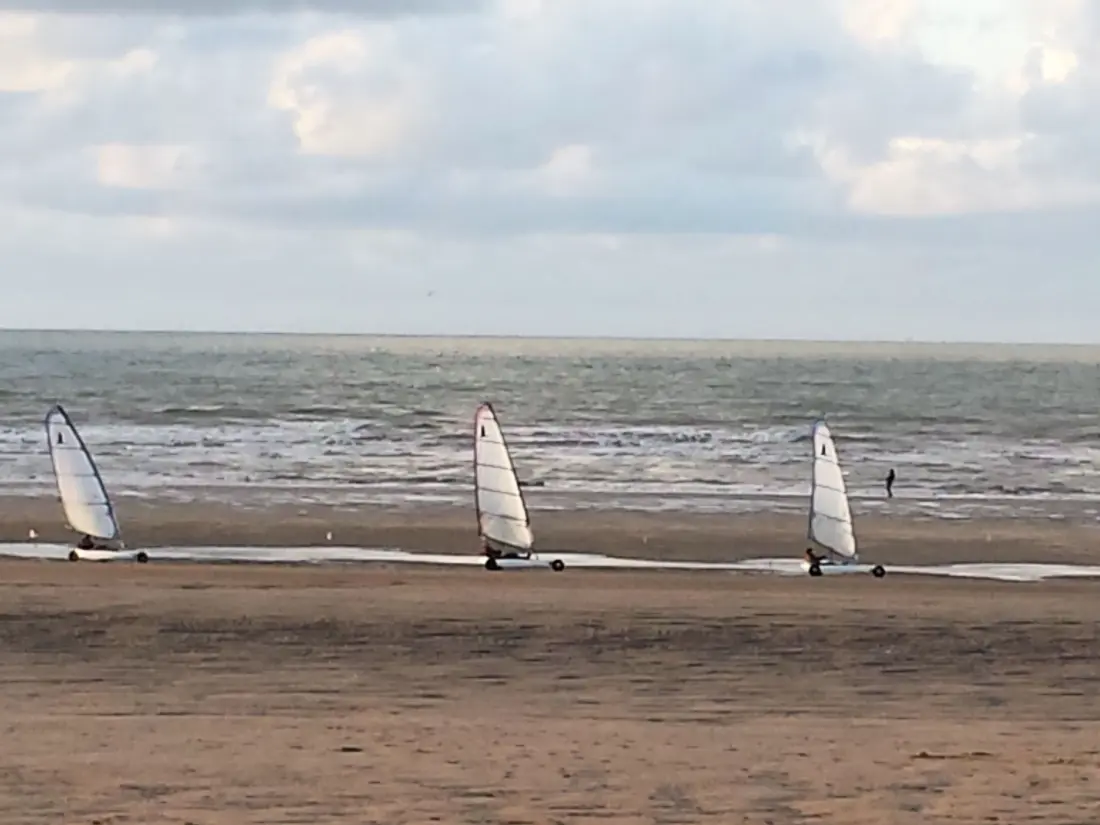 Résidence Wohnung les Althéas in Villers-sur-Mer