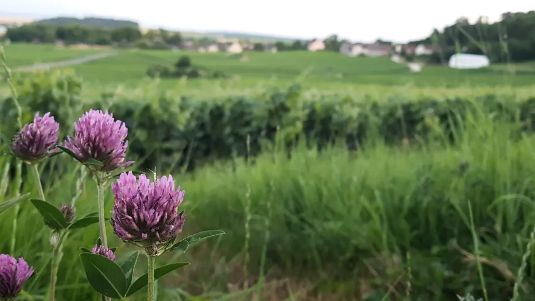Gîte de France Le village 3 épis