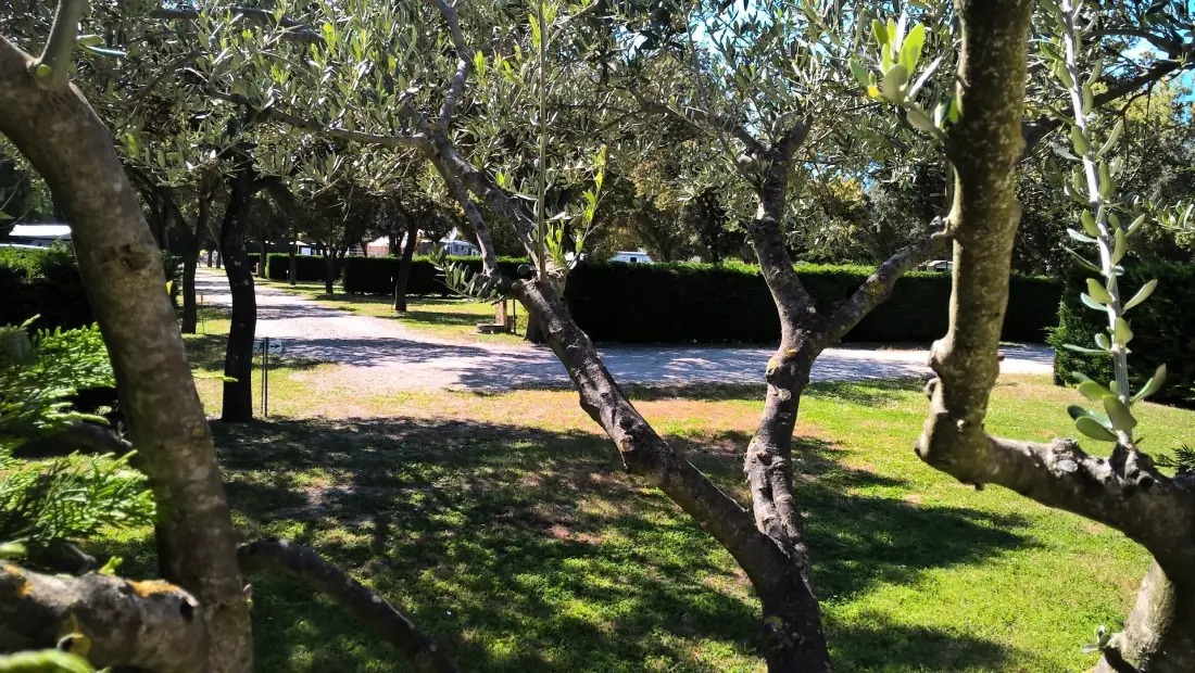 Camping des Favards 4 étoiles★★★★