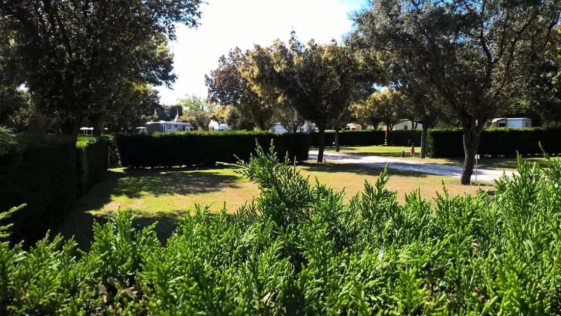 Camping des Favards 4 étoiles★★★★
