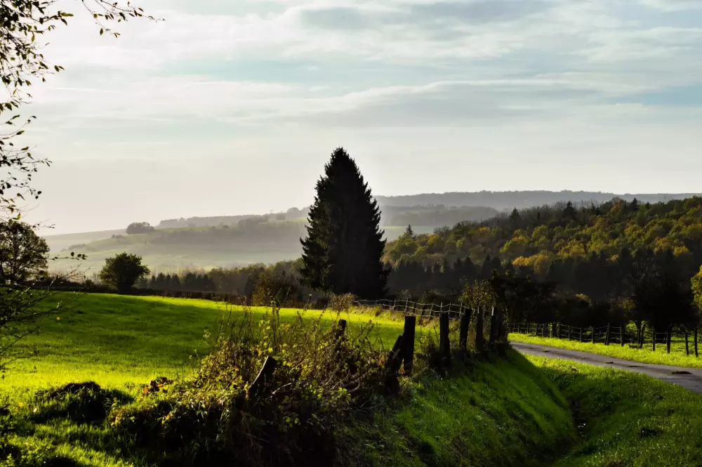 Camping La Colline 4 étoiles★★★★