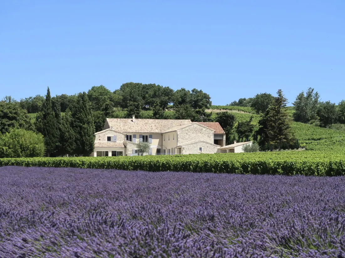 Maison de Vacances Visan