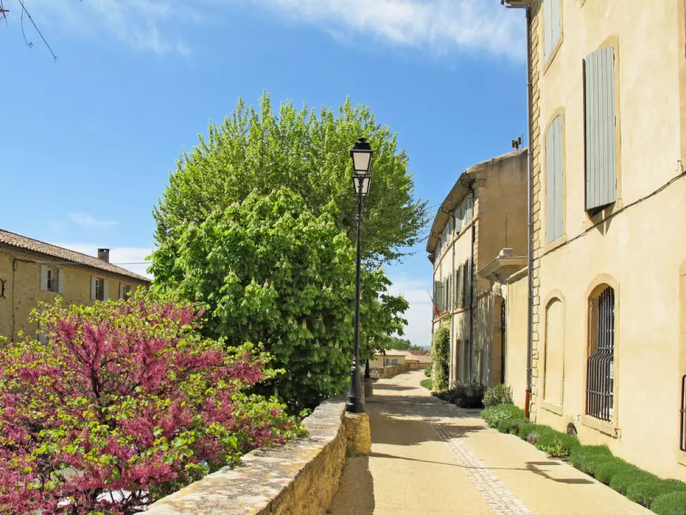 Maison de Vacances Visan