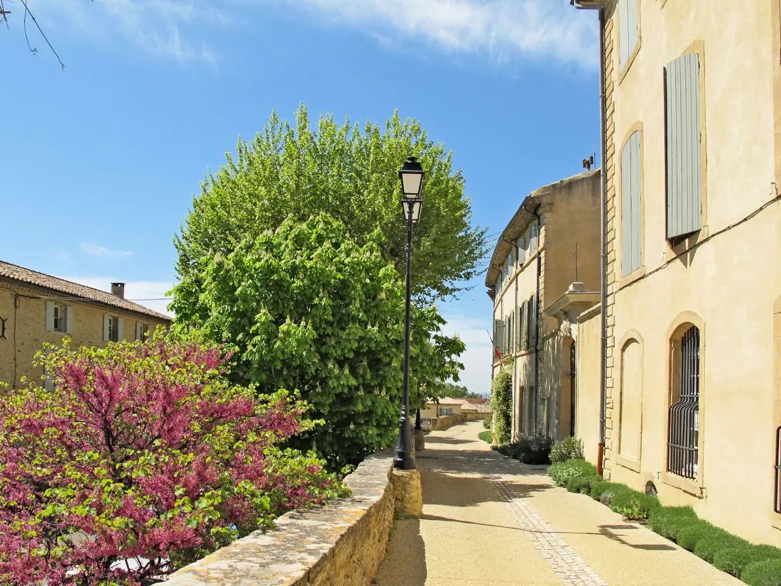 Maison de Vacances Visan