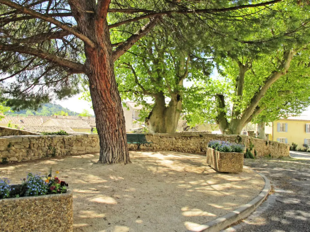 Maison de Vacances Visan