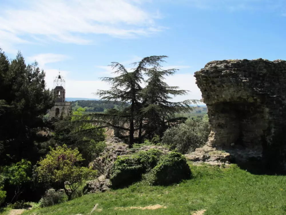 Maison de Vacances Visan