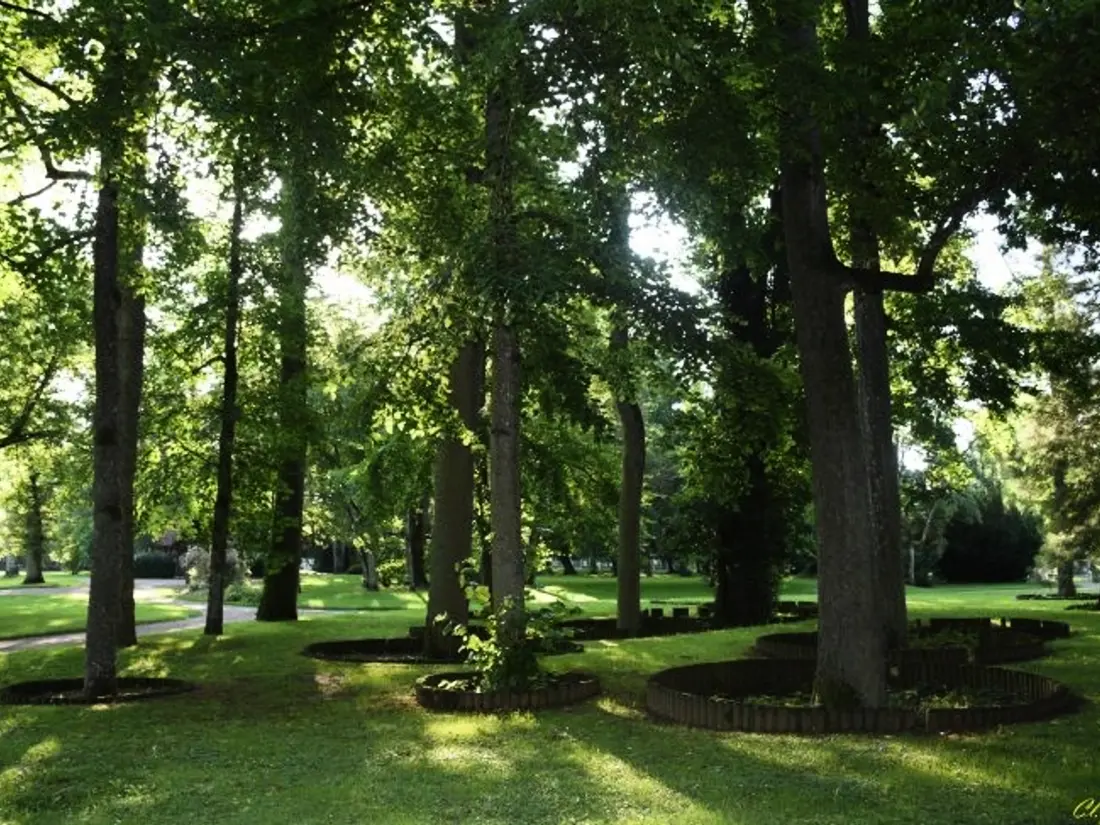Location de Vacances Vittel 4