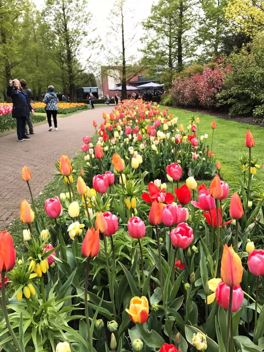 Camping de Hof van Eeden