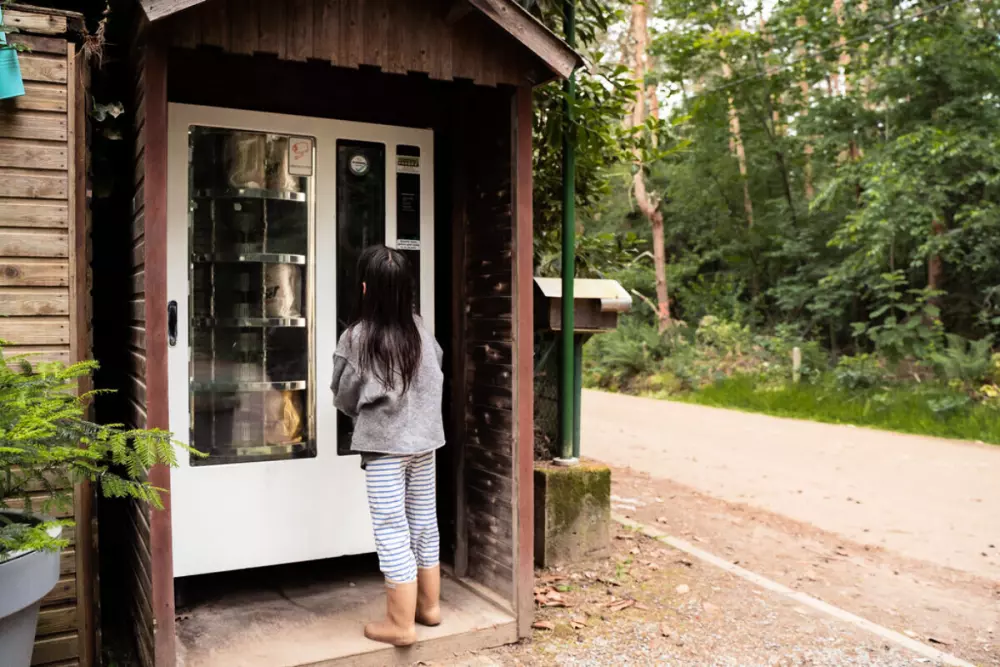 Camping Siesta (Vodatent)