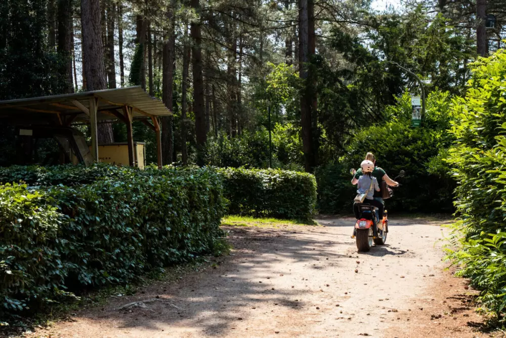 Camping Siesta (Vodatent)