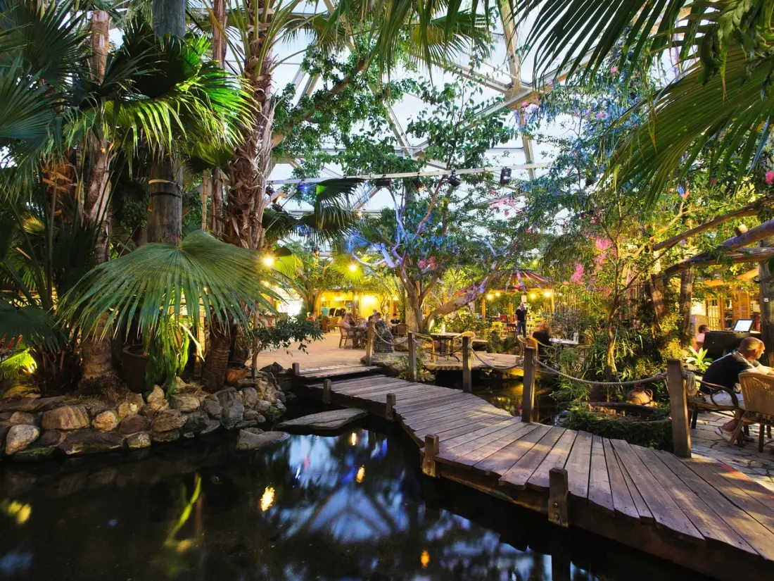 Domaine De Kempervennen Center Parcs