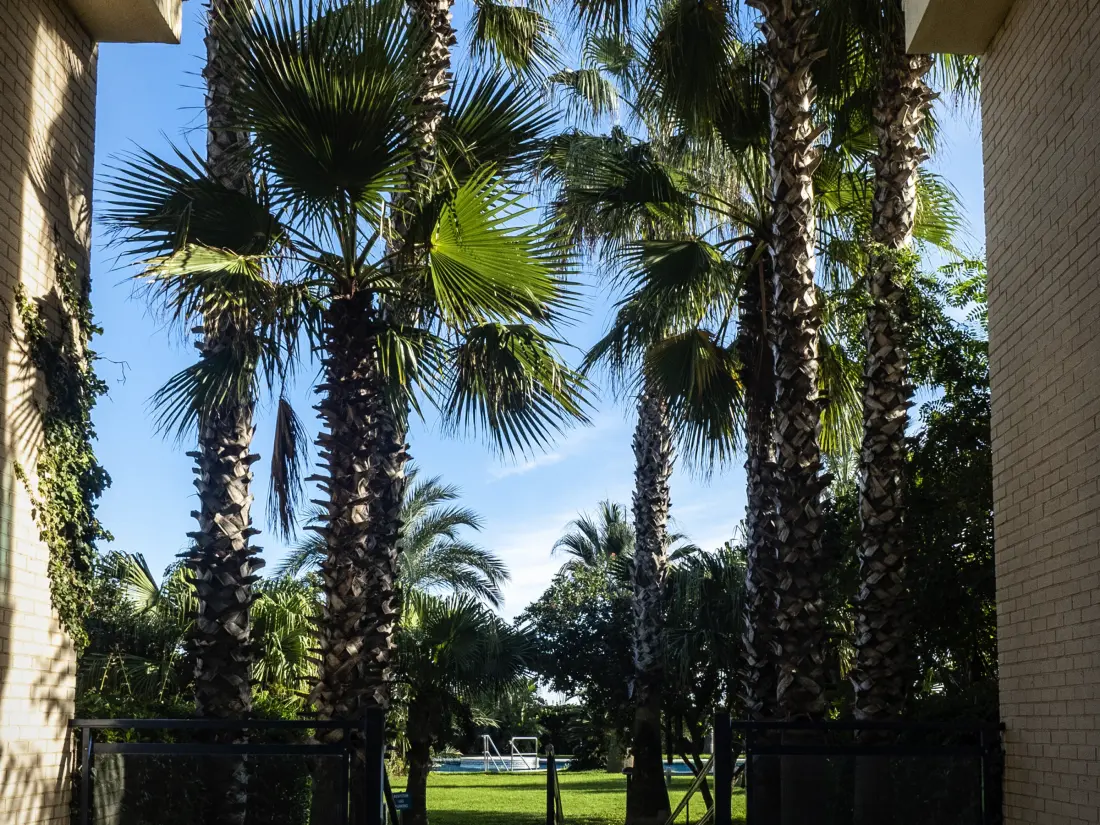 Location de Vacances Xeraco 27