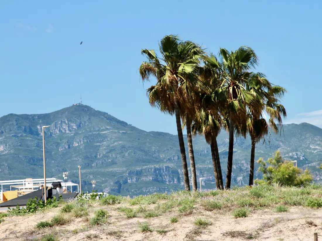 Location de Vacances Xeraco 95