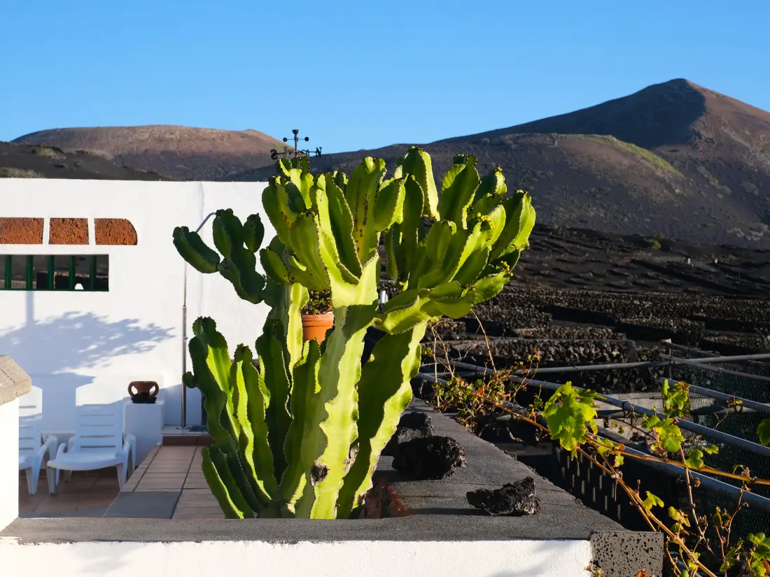 Maison de Vacances Yaiza 7