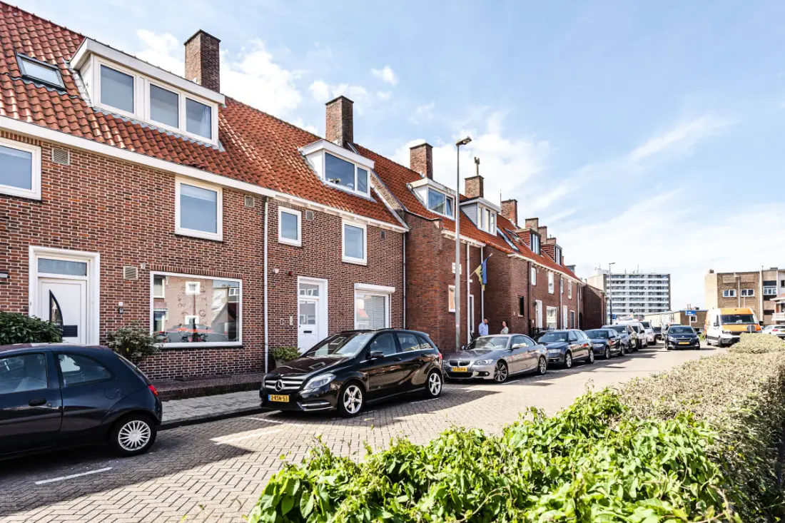 Albatros Aan Zee - Studio
