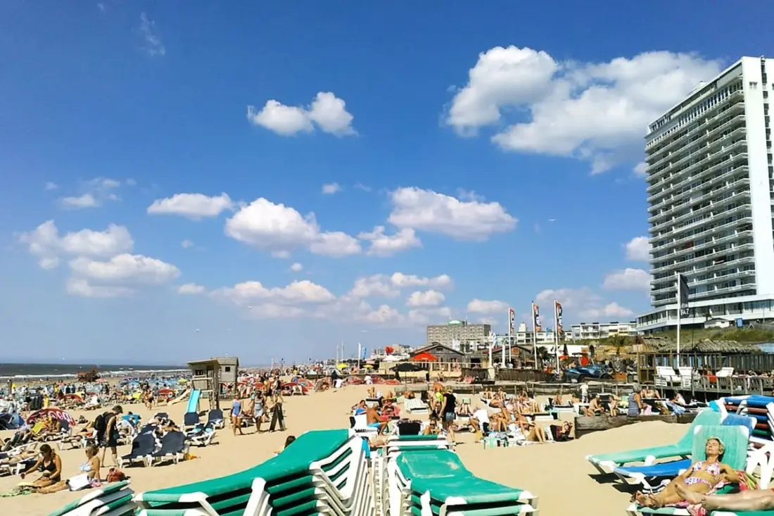 Beach And Town Suite | Parking Gratuit, Mer 2 Min