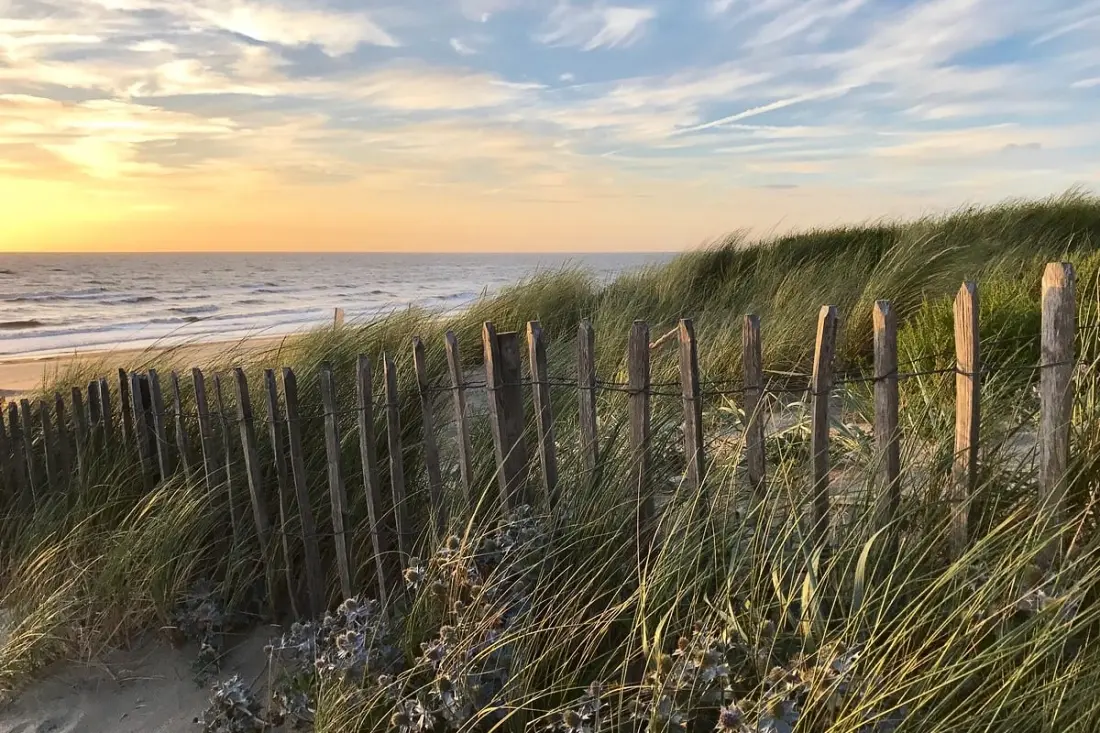 Beach And Town Suite | Parking Gratuit, Mer 2 Min