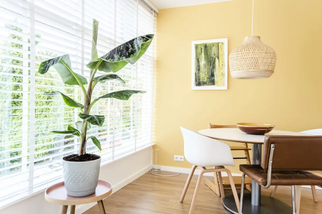 The Shell Apartment 59