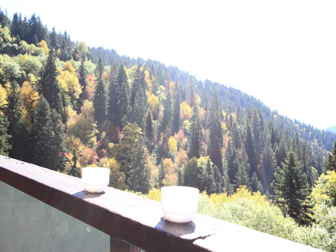 Location de Vacances Chamrousse 228
