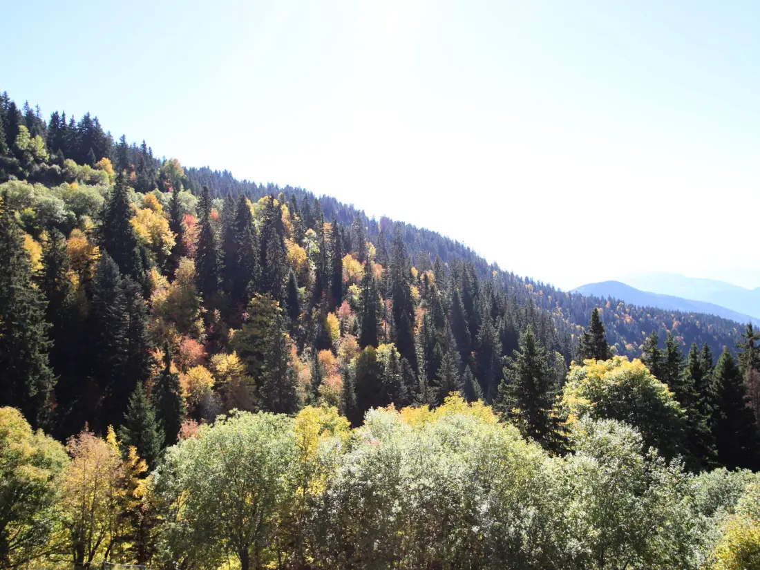 Location de Vacances Chamrousse 228
