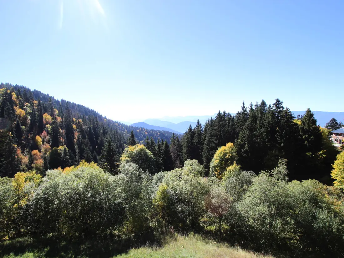 Location de Vacances Chamrousse 228