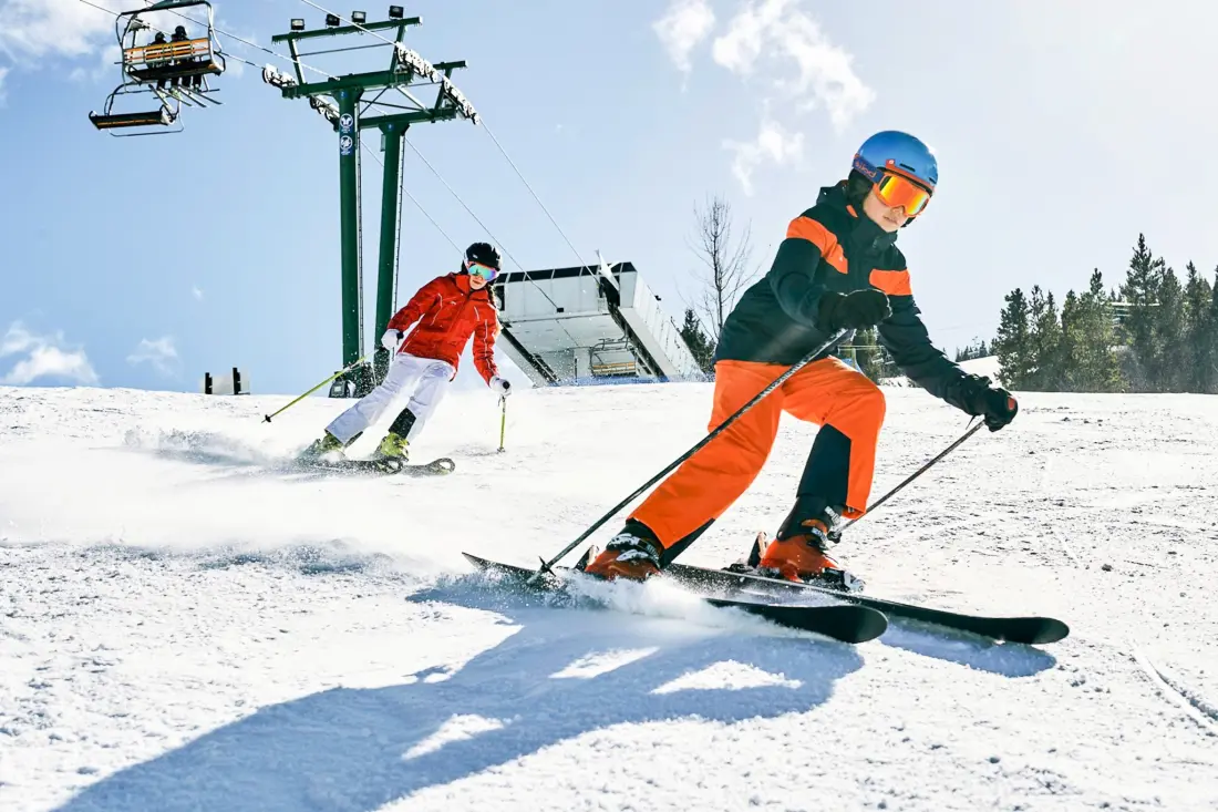 AlpChalets Portes du Soleil 5 étoiles★★★★★