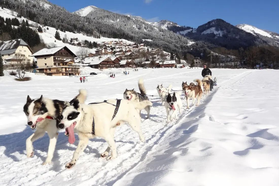 AlpChalets Portes du Soleil 5 étoiles★★★★★
