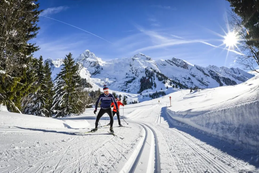 AlpChalets Portes du Soleil 5 étoiles★★★★★