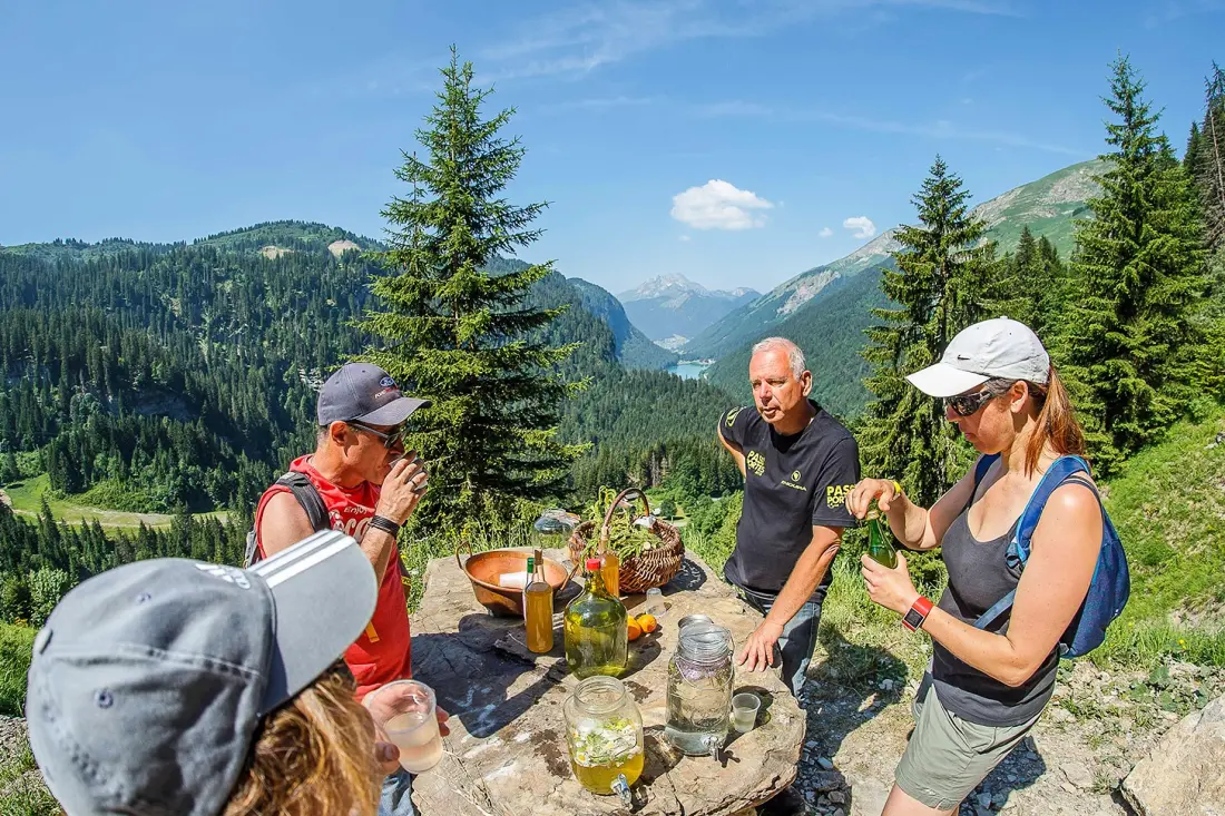 AlpChalets Portes du Soleil 5 étoiles★★★★★