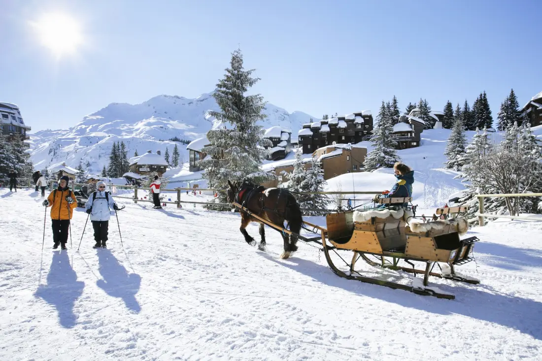 AlpChalets Portes du Soleil 5 étoiles★★★★★