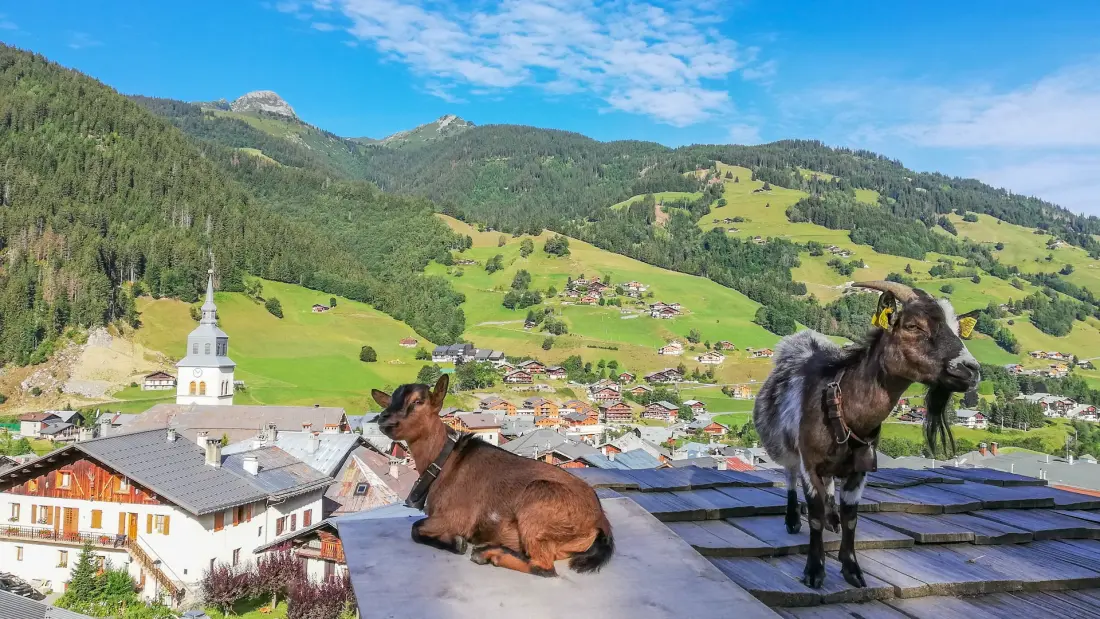 AlpChalets Portes du Soleil 5 étoiles★★★★★