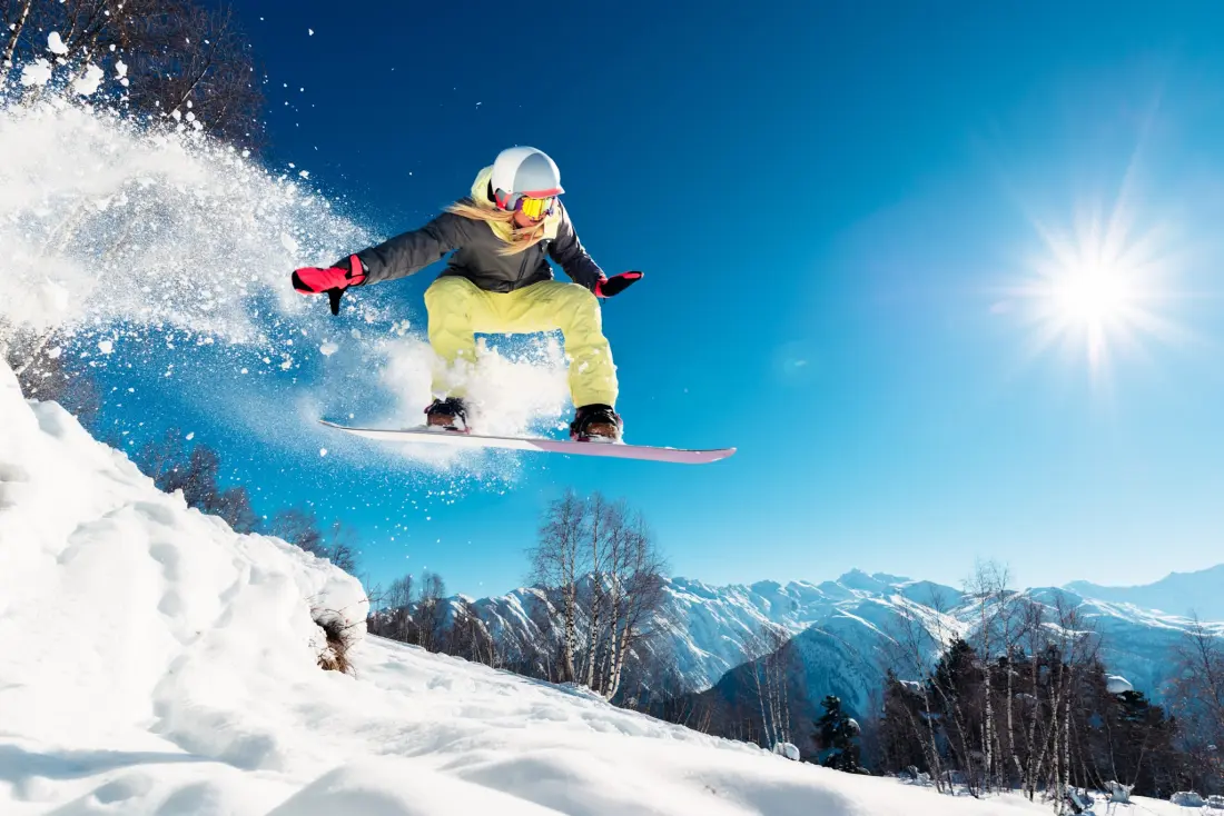 AlpChalets Portes du Soleil 5 étoiles★★★★★