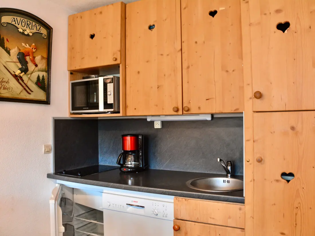 Location de Vacances Avoriaz 264
