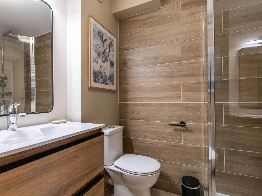 Location de Vacances Avoriaz 381