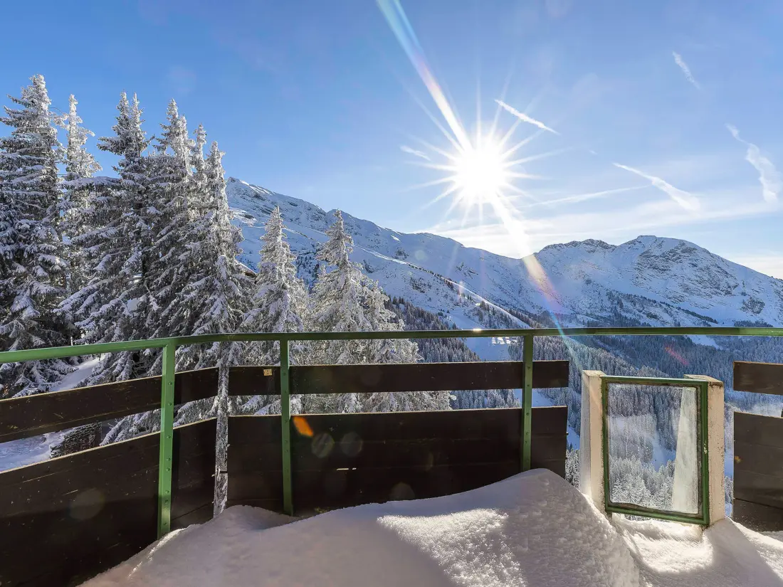 Location de Vacances Avoriaz 381