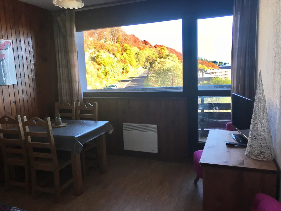 Location de Vacances Besse-et-Saint-Anastaise 11