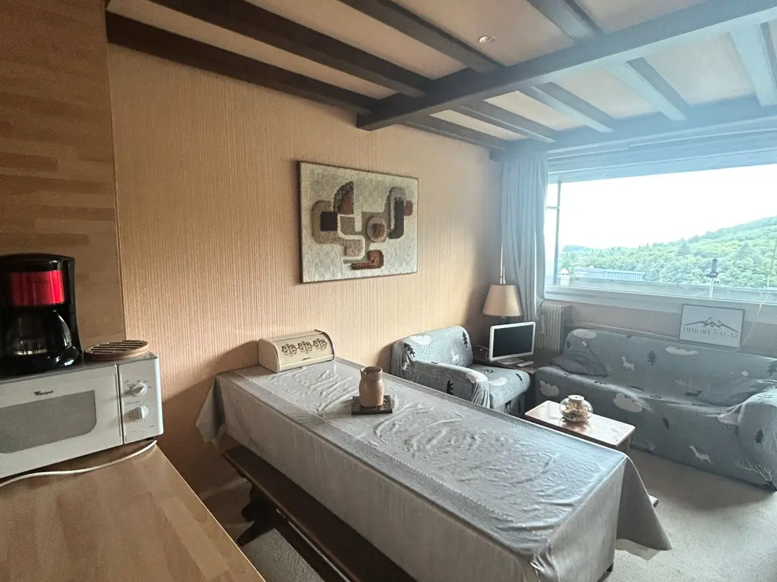 Location de Vacances Besse-et-Saint-Anastaise-Super Besse 119