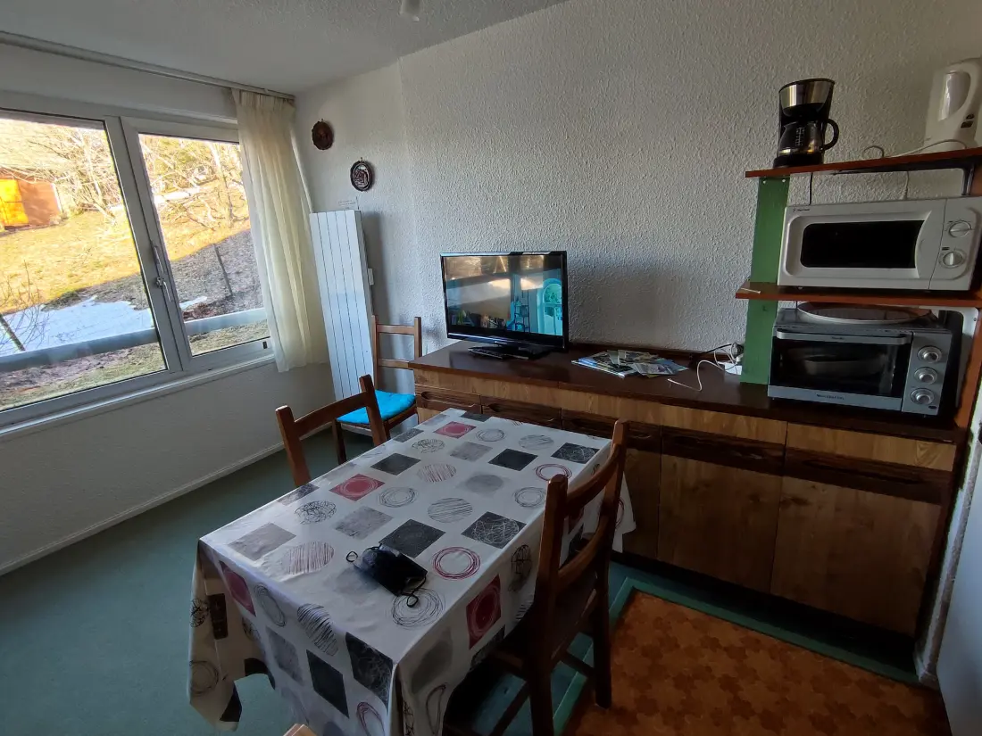 Location de Vacances Besse-et-Saint-Anastaise-Super Besse 130