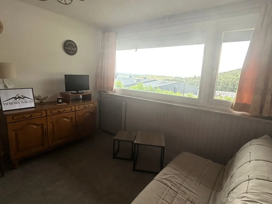 Location de Vacances Besse-et-Saint-Anastaise-Super Besse 134