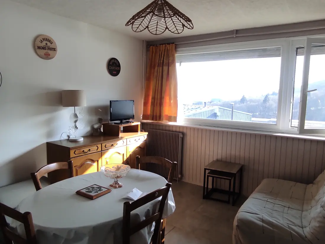 Location de Vacances Besse-et-Saint-Anastaise-Super Besse 134
