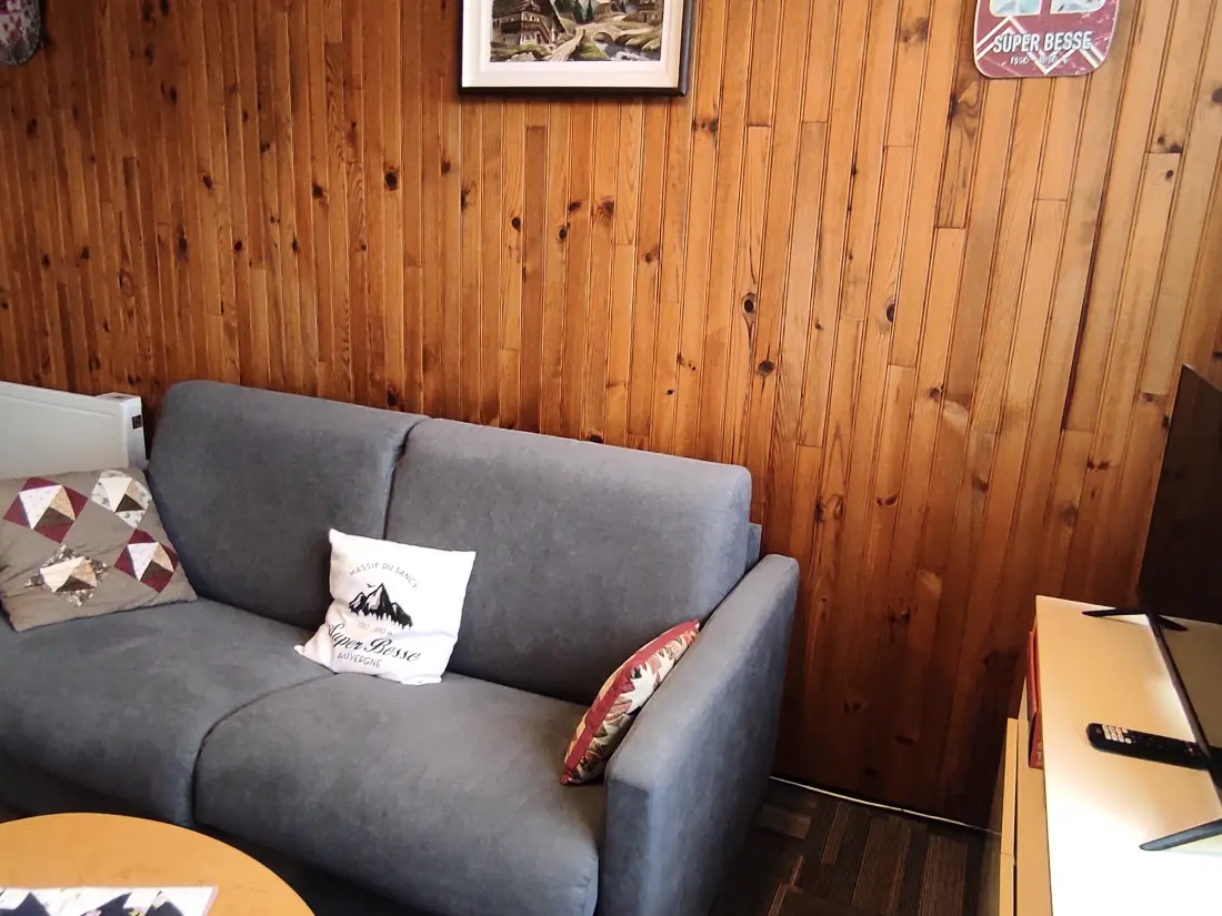 Location de Vacances Besse-et-Saint-Anastaise-Super Besse 188