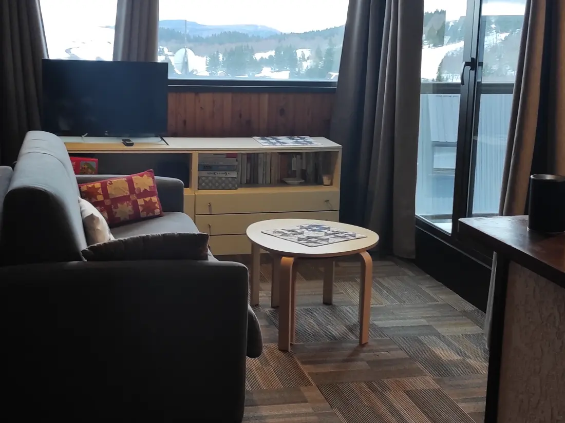 Location de Vacances Besse-et-Saint-Anastaise-Super Besse 188