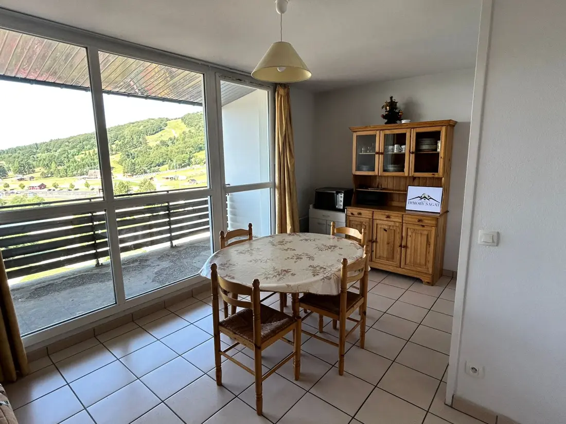 Location de Vacances Besse-et-Saint-Anastaise-Super Besse 29