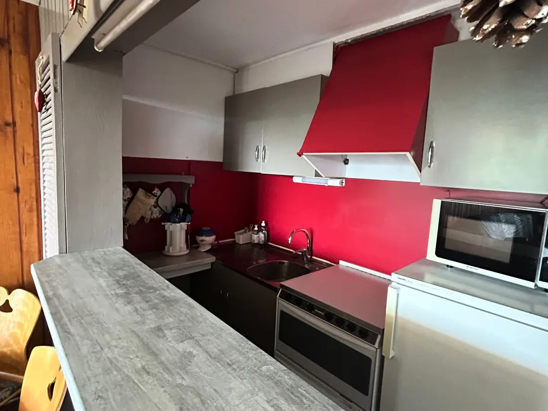 Location de Vacances Besse-et-Saint-Anastaise-Super Besse 44